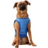 GF Pet Elastofit Ice Dog Vest -Blue Buffalo || ROYAL CANIN || Wellness Sales 251472 MAIN. AC SS1800 V1599642396