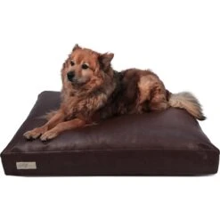 B&G Martin Faux Leather Poly Fill Cushion Insert Dog & Cat Bed -Blue Buffalo || ROYAL CANIN || Wellness Sales 252285 PT3. AC SS1800 V1603729332