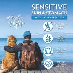 Wholesomes Sensitive Skin & Stomach With Salmon Protein Dry Dog Food, 30-lb Bag 13 Wholesomes Sensitive Skin & Stomach With Salmon Protein Dry Dog Food, 30-lb Bag -Blue Buffalo || ROYAL CANIN || Wellness Sales 252533 PT3. AC SS1800 V1600208766