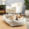 Frisco Rectangular Personalized Bolster Dog Bed W/Removable Cover, Beige, X-Large -Blue Buffalo || ROYAL CANIN || Wellness Sales 252615 MAIN. AC SS1800 V1604499115