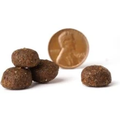 VICTOR Realtree MAX-5 PRO Dry Dog Food -Blue Buffalo || ROYAL CANIN || Wellness Sales 252841 PT3. AC SS1800 V1677684674