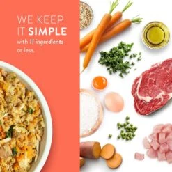 Portland Pet Food Company Grandma Ada's Turkey & Yams Homestyle Wet Dog Food Topper, 9-oz Pouch, Case Of 4 17 Portland Pet Food Company Grandma Ada's Turkey & Yams Homestyle Wet Dog Food Topper, 9-oz Pouch, Case Of 4 -Blue Buffalo || ROYAL CANIN || Wellness Sales 252879 PT6. AC SS1800 V1693002158