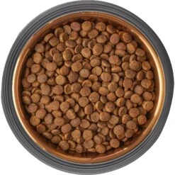Frisco Matte Black Design Light Copper Stainless Steel Dog & Cat Bowl -Blue Buffalo || ROYAL CANIN || Wellness Sales 253051 PT5. AC SS1800 V1616526794