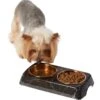 Frisco Copper Stainless Steel Double Dog & Cat Bowls With Black Marble Stand -Blue Buffalo || ROYAL CANIN || Wellness Sales 253058 MAIN. AC SS1800 V1616075012
