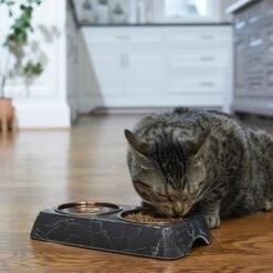 Frisco Copper Stainless Steel Double Dog & Cat Bowls With Black Marble Stand -Blue Buffalo || ROYAL CANIN || Wellness Sales 253058 PT2. AC SS1800 V1616594213