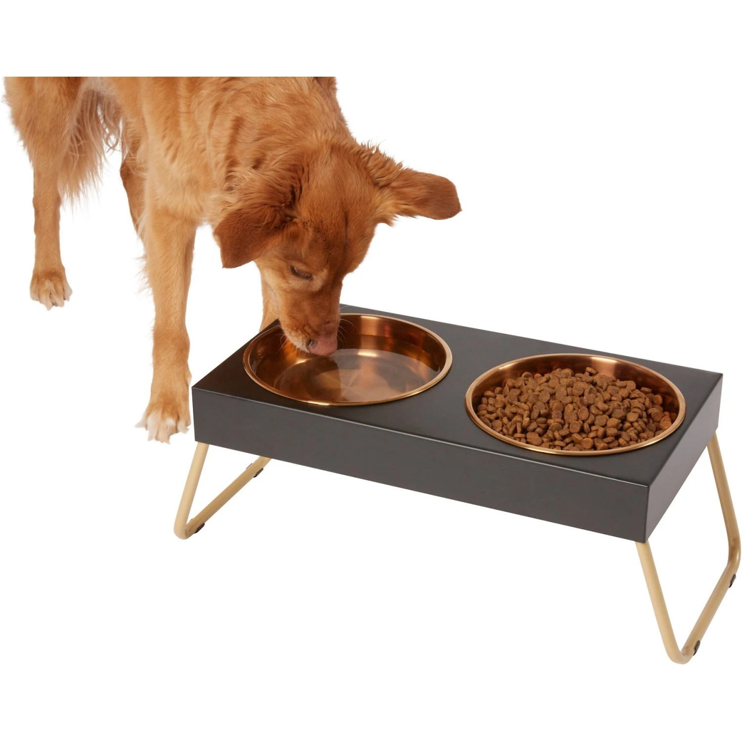 Frisco Copper Stainless Steel Elevated Foldable Double Dog & Cat Bowls 3 Frisco Copper Stainless Steel Elevated Foldable Double Dog & Cat Bowls