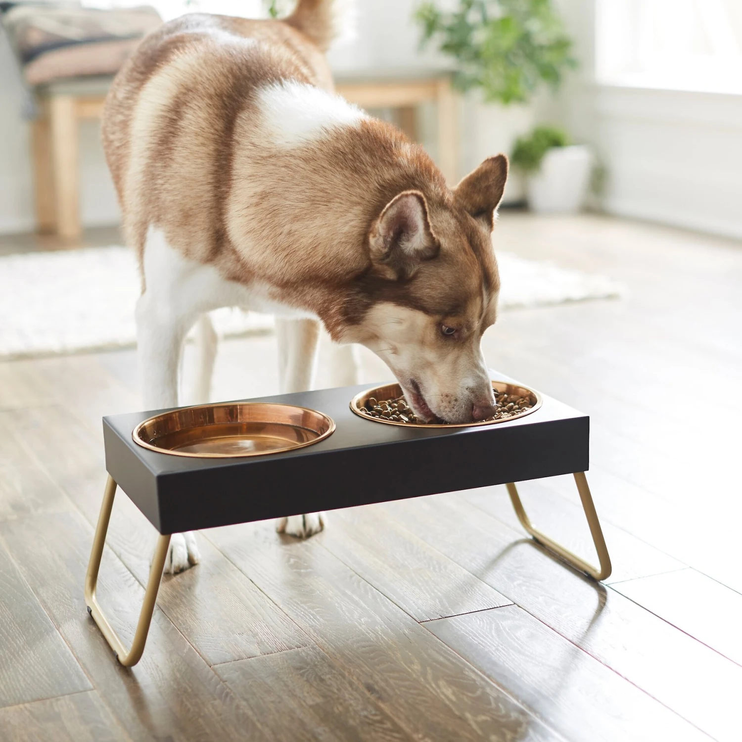 Frisco Copper Stainless Steel Elevated Foldable Double Dog & Cat Bowls 5 Frisco Copper Stainless Steel Elevated Foldable Double Dog & Cat Bowls - Image 3