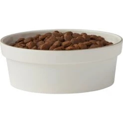 Frisco Gold Trim Melamine Dog & Cat Bowl -Blue Buffalo || ROYAL CANIN || Wellness Sales 253062 PT3. AC SS1800 V1616595685