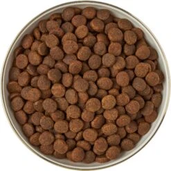 Frisco Gold Trim Melamine Dog & Cat Bowl -Blue Buffalo || ROYAL CANIN || Wellness Sales 253062 PT5. AC SS1800 V1616595396