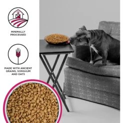 BIXBI Liberty Rancher's Red Fresh Beef, Lamb & Goat Dry Dog Food -Blue Buffalo || ROYAL CANIN || Wellness Sales 254792 PT2. AC SS1800 V1668202758