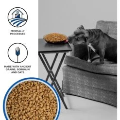 BIXBI Liberty Game Bird Feast Fresh Turkey, Quail & Duck Dry Dog Food -Blue Buffalo || ROYAL CANIN || Wellness Sales 254796 PT2. AC SS1800 V1668200383