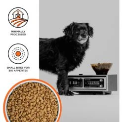 BIXBI Liberty Chicken Recipe Small Breed Grain-Free Dry Dog Food -Blue Buffalo || ROYAL CANIN || Wellness Sales 254799 PT2. AC SS1800 V1668202913