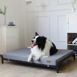 KOPEKS Orthopedic Elevated Bolster Dog Bed With Removable Cover -Blue Buffalo || ROYAL CANIN || Wellness Sales 255295 PT5. AC SS1800 V1602119465