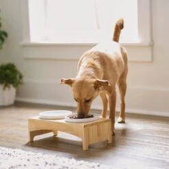Frisco Ceramic Dog & Cat Double Diner With Elevated Wood Stand -Blue Buffalo || ROYAL CANIN || Wellness Sales 256052 PT2. AC SS1800 V1615311142