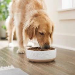 Frisco Paw Prints Non-skid Ceramic Bowl 10 Frisco Paw Prints Non-skid Ceramic Bowl -Blue Buffalo || ROYAL CANIN || Wellness Sales 256072 PT2. AC SS1800 V1615311738