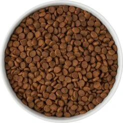 Frisco Paw Prints Non-skid Ceramic Bowl 13 Frisco Paw Prints Non-skid Ceramic Bowl -Blue Buffalo || ROYAL CANIN || Wellness Sales 256072 PT5. AC SS1800 V1615312318