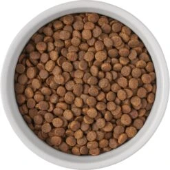 Frisco Bones Non-skid Ceramic Dog & Cat Bowl 13 Frisco Bones Non-skid Ceramic Dog & Cat Bowl -Blue Buffalo || ROYAL CANIN || Wellness Sales 256074 PT5. AC SS1800 V1615312010