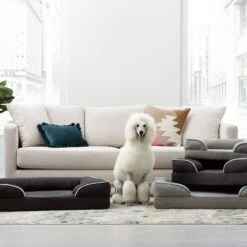 Brindle Orthopedic Bolster Dog & Cat Bed With Removable Cover 17 Brindle Orthopedic Bolster Dog & Cat Bed With Removable Cover -Blue Buffalo || ROYAL CANIN || Wellness Sales 256164 PT7. AC SS1800 V1602111368