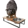 Frisco Wood Elevated Non-Skid Stainless Steel Double Diner Dog & Cat Bowl -Blue Buffalo || ROYAL CANIN || Wellness Sales 257143 MAIN. AC SS1800 V1615913797