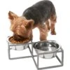Frisco Elevated Diamond Stainless Steel Double Diner Dog & Cat Bowl -Blue Buffalo || ROYAL CANIN || Wellness Sales 257147 MAIN. AC SS1800 V1615913790