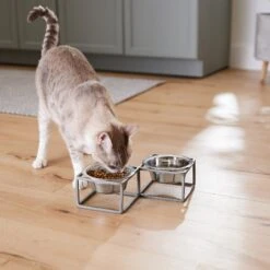 Frisco Elevated Diamond Stainless Steel Double Diner Dog & Cat Bowl -Blue Buffalo || ROYAL CANIN || Wellness Sales 257147 PT5. AC SS1800 V1615989105