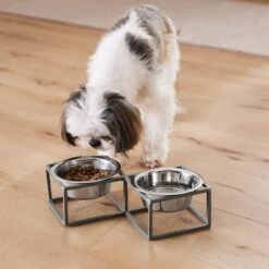 Frisco Elevated Diamond Stainless Steel Double Diner Dog & Cat Bowl -Blue Buffalo || ROYAL CANIN || Wellness Sales 257147 PT8. AC SS1800 V1615840442