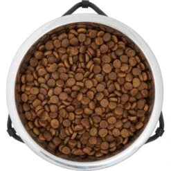 Frisco Triangle Iron Non-Skid Elevated Dog & Cat Bowl 14 Frisco Triangle Iron Non-Skid Elevated Dog & Cat Bowl -Blue Buffalo || ROYAL CANIN || Wellness Sales 257155 PT4. AC SS1800 V1615311701