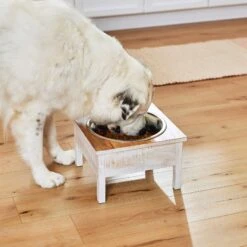 Frisco Farm House Wood Elevated Non-Skid Stainless Steel Dog Bowl -Blue Buffalo || ROYAL CANIN || Wellness Sales 257160 PT8. AC SS1800 V1615932139
