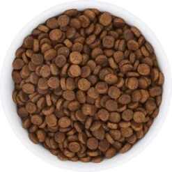 Frisco Bohemian Non-Skid Stainless Steel Dog & Cat Bowl -Blue Buffalo || ROYAL CANIN || Wellness Sales 257195 PT4. AC SS1800 V1615311089