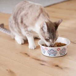 Frisco Bohemian Non-Skid Stainless Steel Dog & Cat Bowl -Blue Buffalo || ROYAL CANIN || Wellness Sales 257195 PT7. AC SS1800 V1615989147