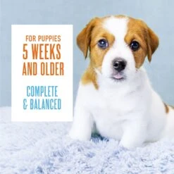 Tiki Dog Aloha Petites Puppy Mousse Chicken & Pumpkin In Broth Small Breed Grain-Free Wet Dog Food -Blue Buffalo || ROYAL CANIN || Wellness Sales 259158 PT7. AC SS1800 V1631196718