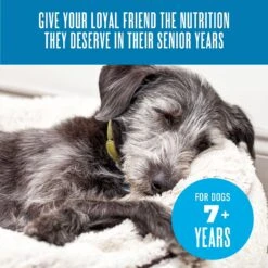 Tiki Dog Aloha Petites Senior Mousse Chicken, Beef & Pumpkin In Broth Grain-Free Wet Dog Food -Blue Buffalo || ROYAL CANIN || Wellness Sales 259160 PT7. AC SS1800 V1631197321