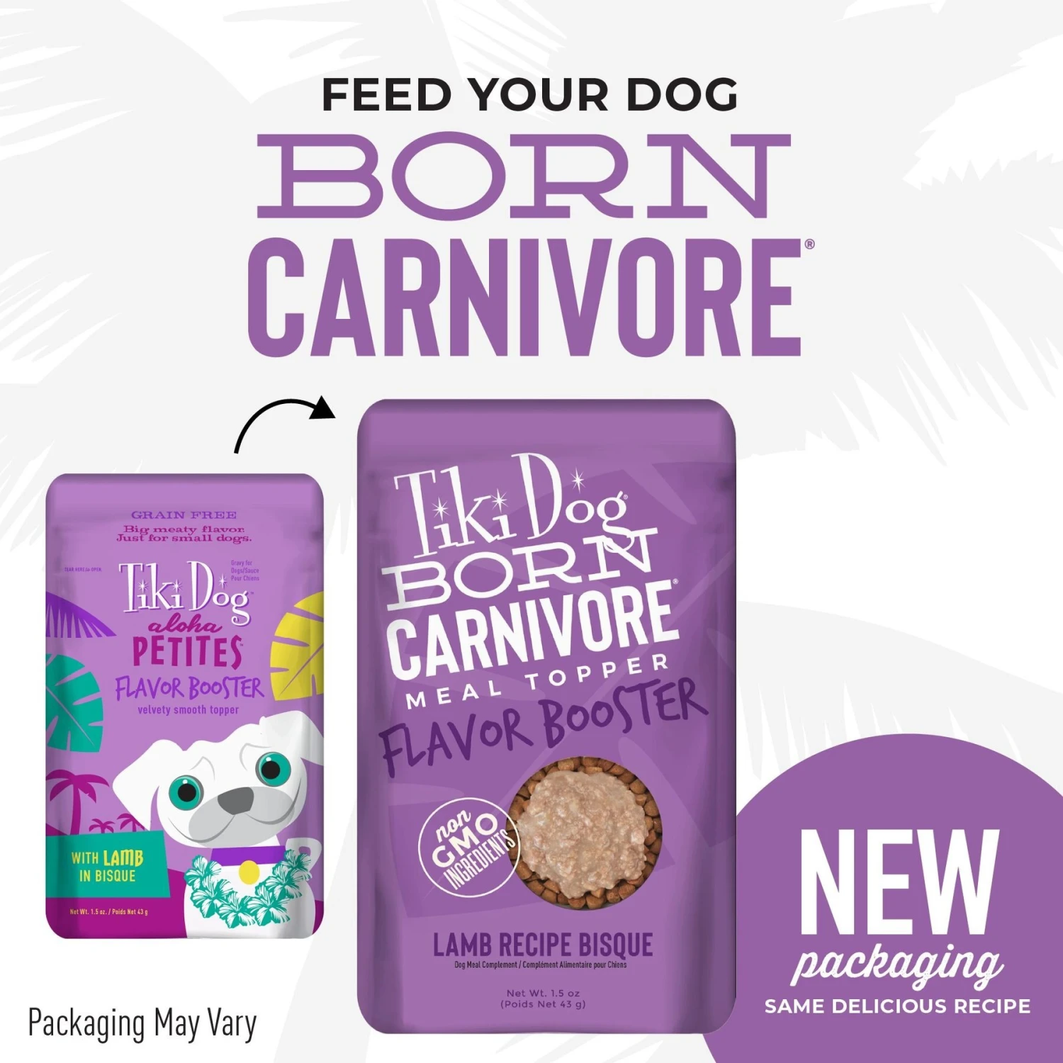 Tiki Dog Born Carnivore Flavor Booster Lamb Bisque Non-GMO Wet Dog Food Topper 4 Tiki Dog Born Carnivore Flavor Booster Lamb Bisque Non-GMO Wet Dog Food Topper - Image 2