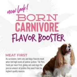 Tiki Dog Born Carnivore Flavor Booster Salmon Bisque Non-GMO Wet Dog Food Topper 17 Tiki Dog Born Carnivore Flavor Booster Salmon Bisque Non-GMO Wet Dog Food Topper -Blue Buffalo || ROYAL CANIN || Wellness Sales 259164 PT6. AC SS1800 V1701796138