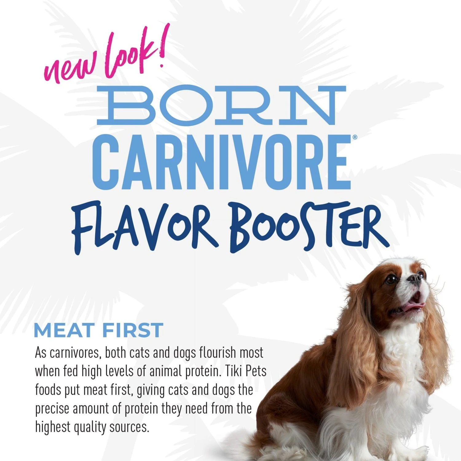 Tiki Dog Born Carnivore Flavor Booster Duck Bisque Non-GMO Wet Dog Food Topper 9 Tiki Dog Born Carnivore Flavor Booster Duck Bisque Non-GMO Wet Dog Food Topper - Image 7