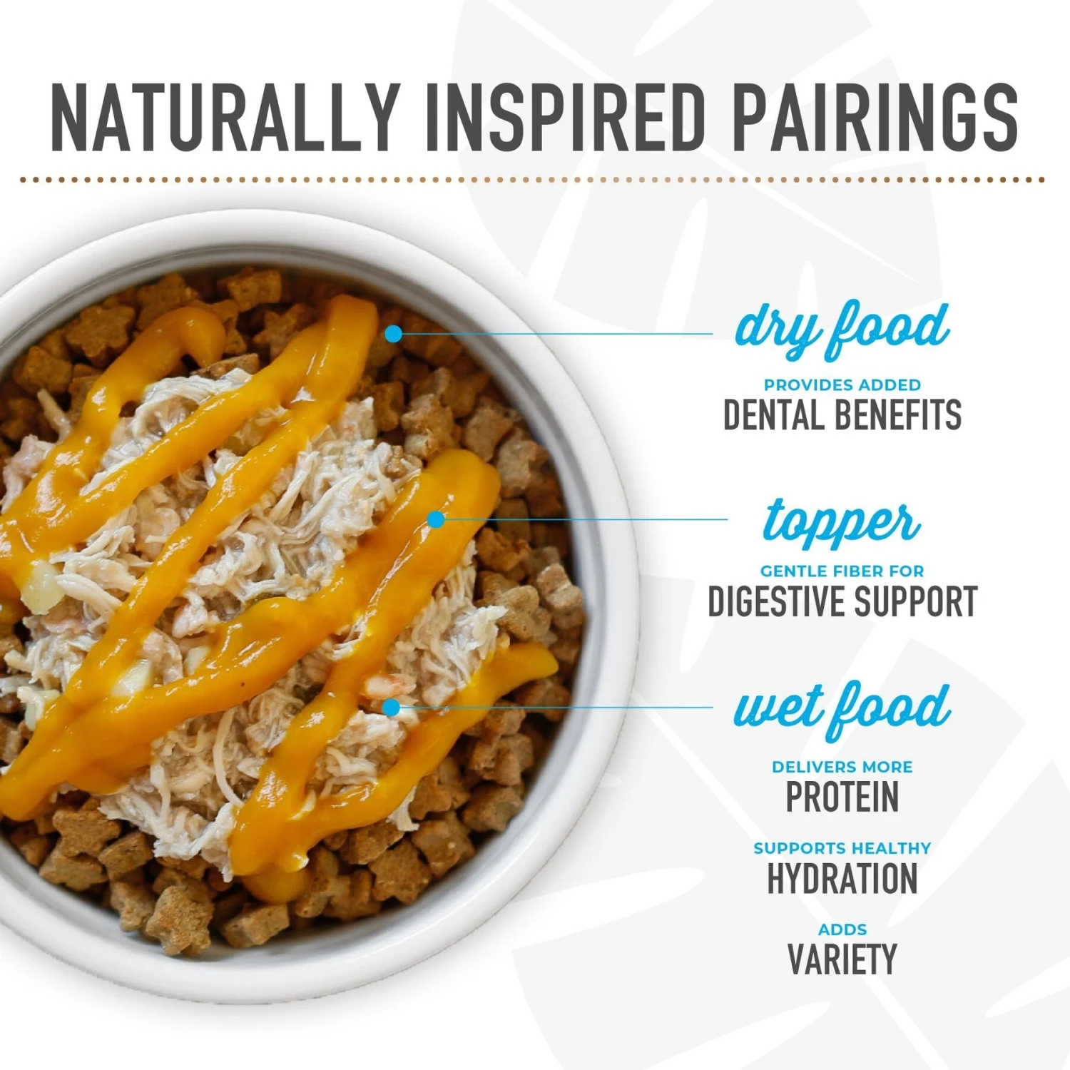 Tiki Dog Born Carnivore Flavor Booster Duck Bisque Non-GMO Wet Dog Food Topper 11 Tiki Dog Born Carnivore Flavor Booster Duck Bisque Non-GMO Wet Dog Food Topper - Image 9