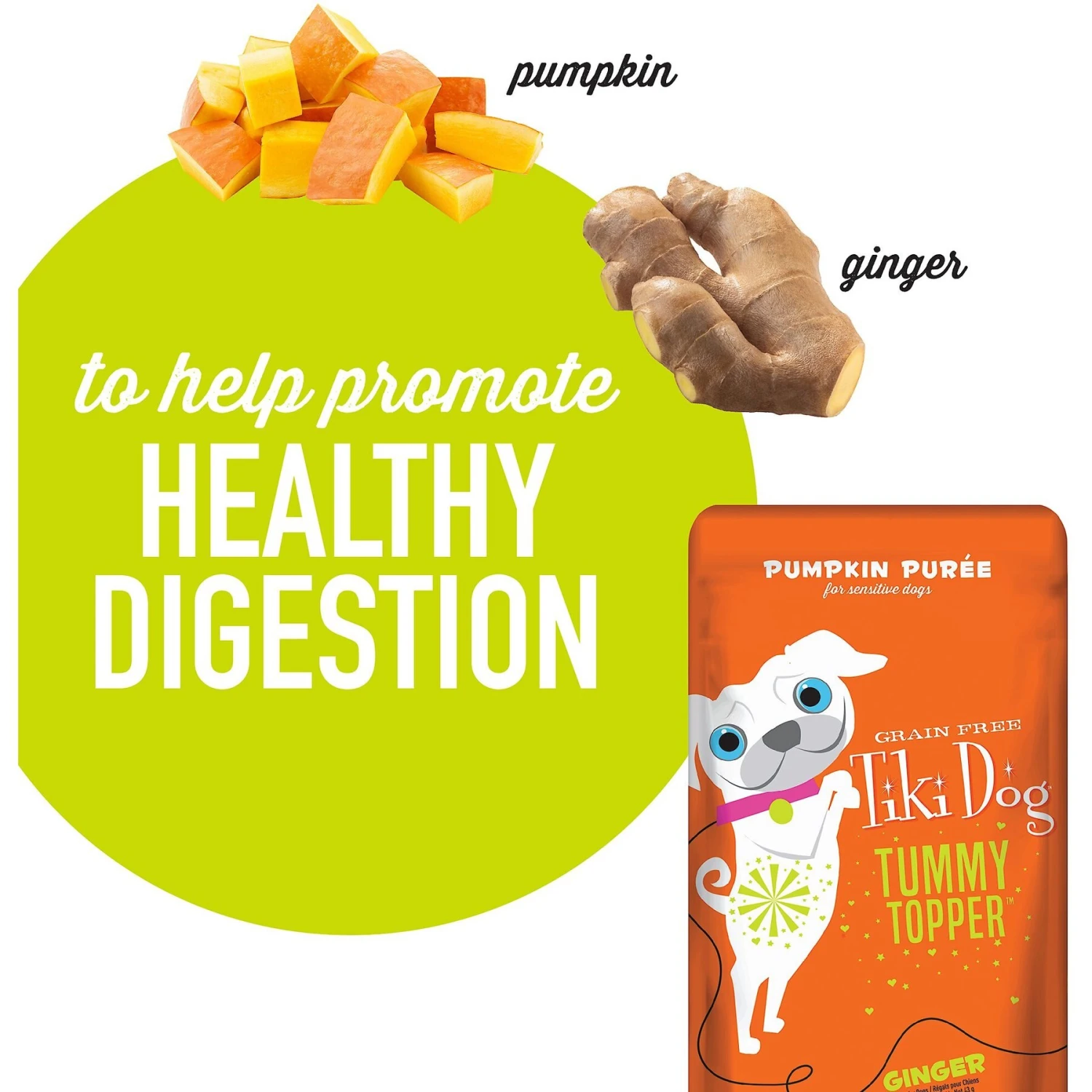 Tiki Dog Tummy Topper Pumpkin & Ginger Puree Grain-Free Wet Dog Food Topper 7 Tiki Dog Tummy Topper Pumpkin & Ginger Puree Grain-Free Wet Dog Food Topper - Image 5