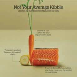 Now Fresh Grain-Free Puppy Recipe Dry Dog Food 14 Now Fresh Grain-Free Puppy Recipe Dry Dog Food -Blue Buffalo || ROYAL CANIN || Wellness Sales 261221 PT3. AC SS1800 V1637790424