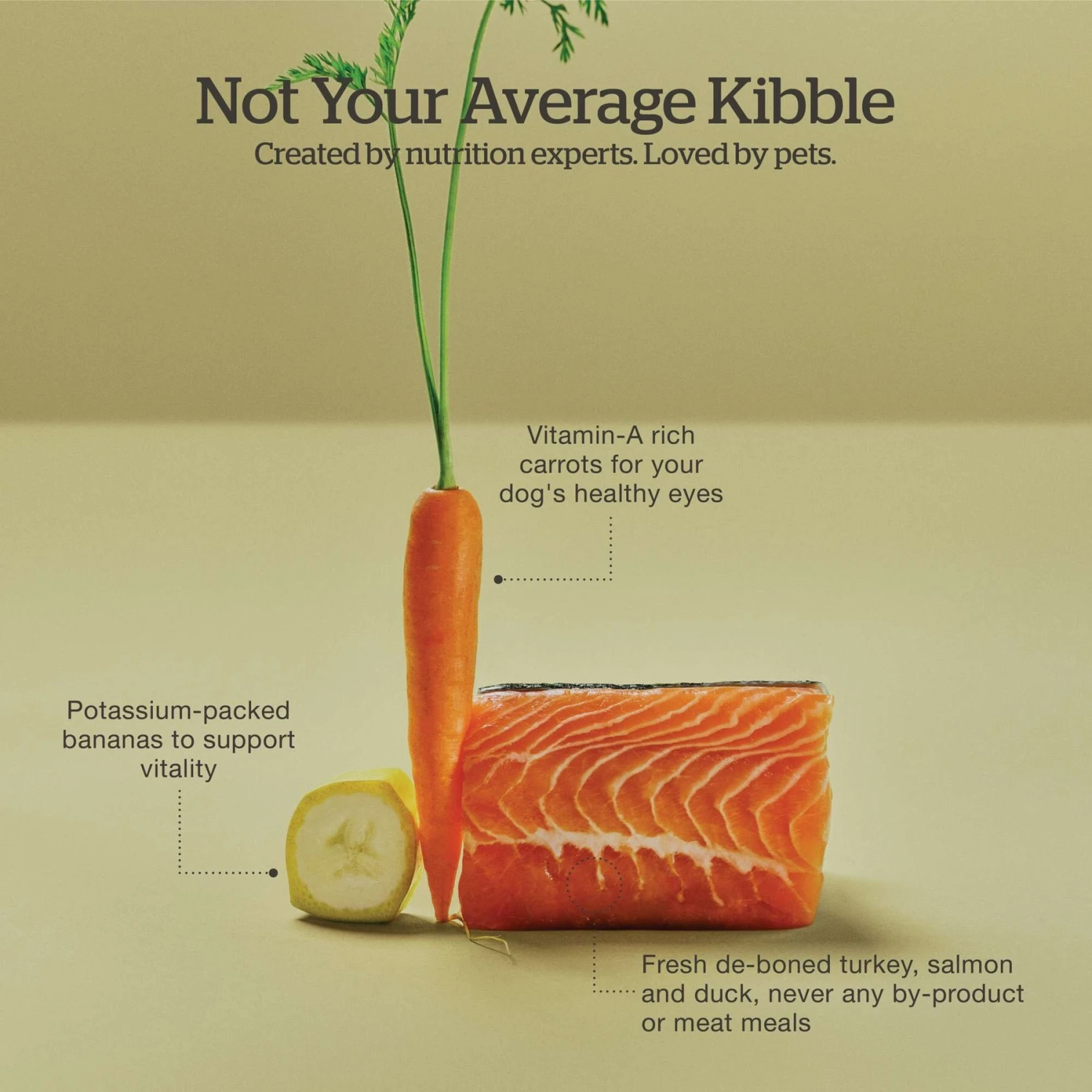 Now Fresh Grain-Free Puppy Recipe Dry Dog Food 6 Now Fresh Grain-Free Puppy Recipe Dry Dog Food - Image 4