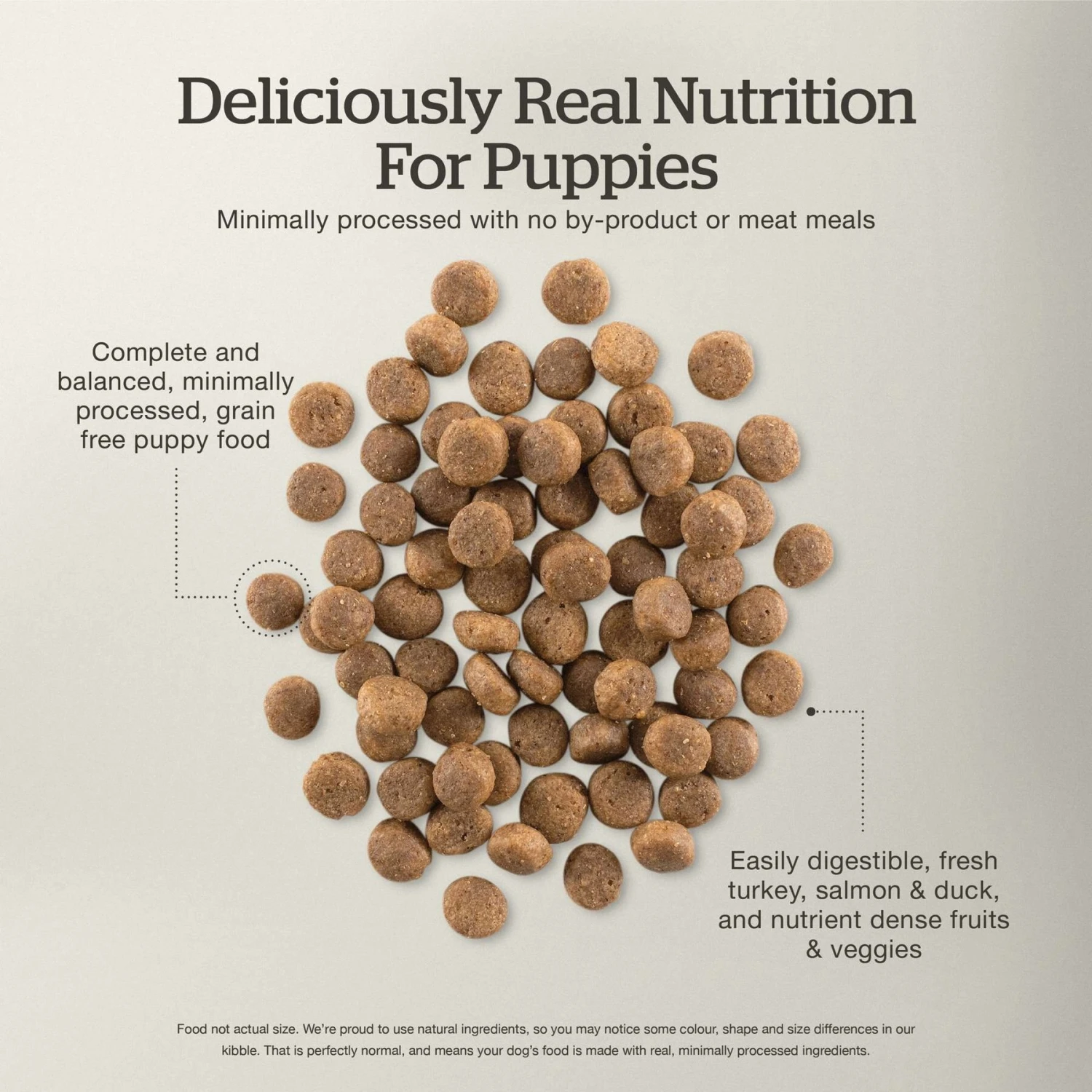 Now Fresh Grain-Free Puppy Recipe Dry Dog Food 7 Now Fresh Grain-Free Puppy Recipe Dry Dog Food - Image 5