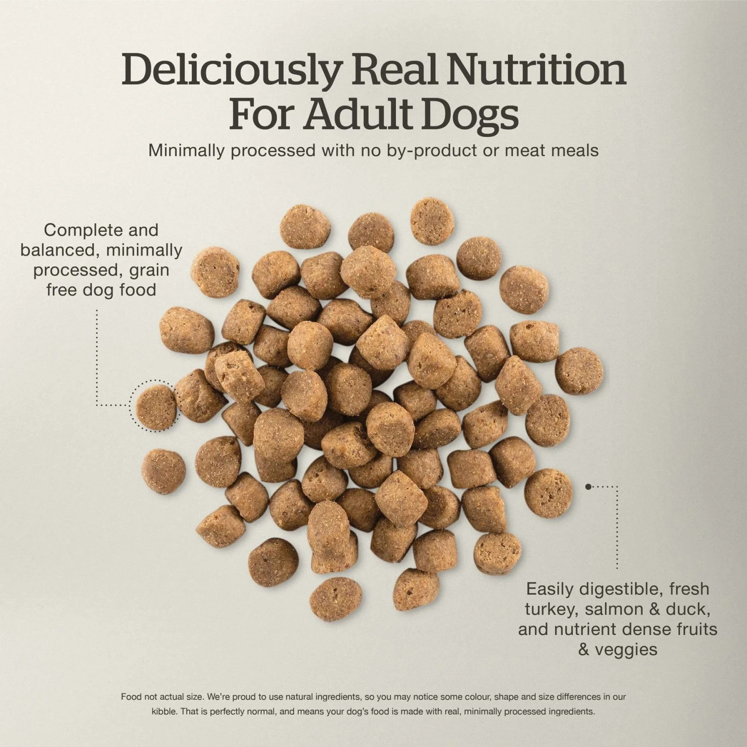 Now Fresh Grain-Free Adult Recipe Dry Dog Food 7 Now Fresh Grain-Free Adult Recipe Dry Dog Food - Image 5