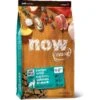 Now Fresh Grain-Free Large Breed Adult Recipe Dry Dog Food