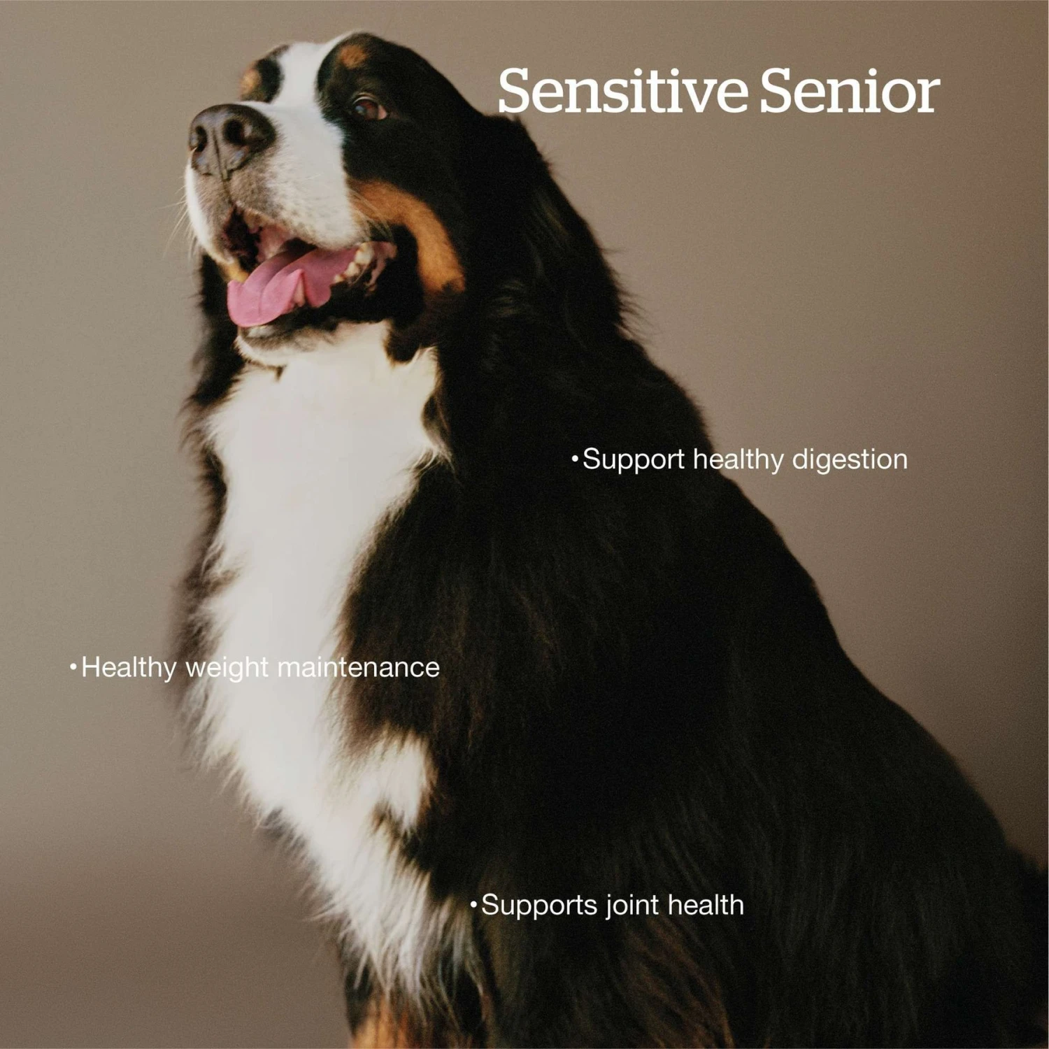 Now Fresh Grain-Free Large Breed Senior Recipe Dry Dog Food 5 Now Fresh Grain-Free Large Breed Senior Recipe Dry Dog Food - Image 3