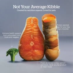 Now Fresh Grain-Free Large Breed Senior Recipe Dry Dog Food 14 Now Fresh Grain-Free Large Breed Senior Recipe Dry Dog Food -Blue Buffalo || ROYAL CANIN || Wellness Sales 261232 PT3. AC SS1800 V1637792298