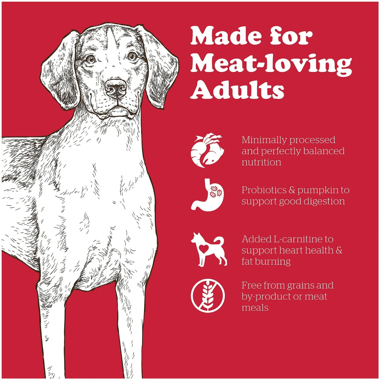 Now Fresh Grain-Free Adult Red Meat Recipe Dry Dog Food 5 Now Fresh Grain-Free Adult Red Meat Recipe Dry Dog Food - Image 3