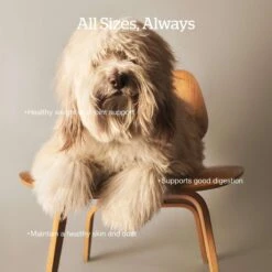 Now Fresh Grain-Free Adult Fish Recipe Dry Dog Food -Blue Buffalo || ROYAL CANIN || Wellness Sales 261250 PT2. AC SS1800 V1637792562