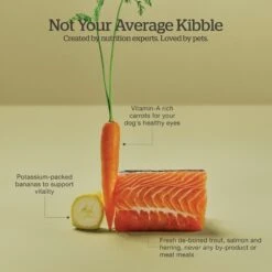 Now Fresh Grain-Free Adult Fish Recipe Dry Dog Food -Blue Buffalo || ROYAL CANIN || Wellness Sales 261250 PT3. AC SS1800 V1637792589