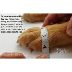 Bark Brite Lightweight Neoprene Paw Protector Dog Boots -Blue Buffalo || ROYAL CANIN || Wellness Sales 261282 PT8. AC SS1800 V1619723552