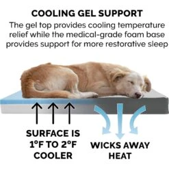 FurHaven Faux Sheepskin & Suede Cooling Gel Cat & Dog Bed With Removable Cover 17 FurHaven Faux Sheepskin & Suede Cooling Gel Cat & Dog Bed With Removable Cover -Blue Buffalo || ROYAL CANIN || Wellness Sales 261665 PT6. AC SS1800 V1605652609