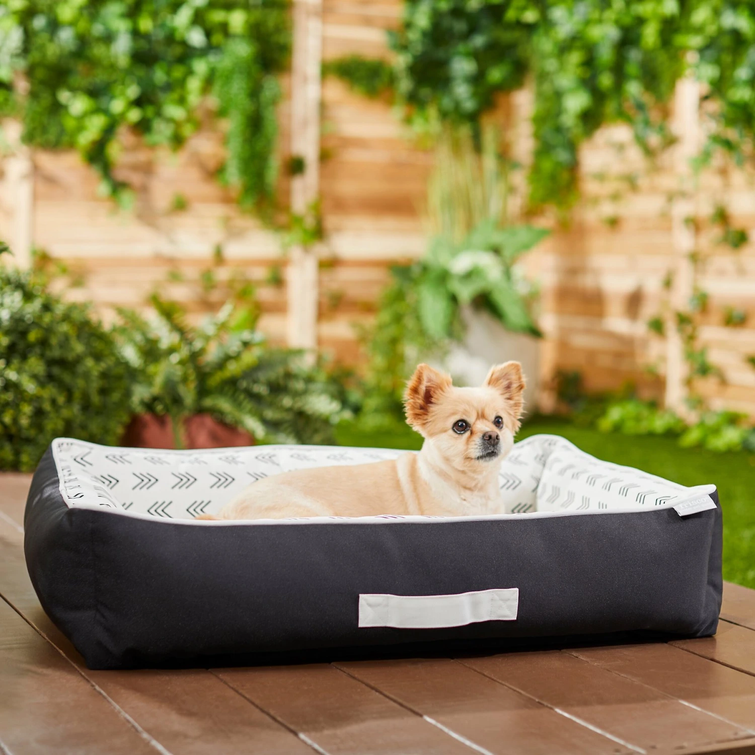 Frisco Indoor/Outdoor Modern Cuddler Bolster Cat & Dog Bed 3 Frisco Indoor/Outdoor Modern Cuddler Bolster Cat & Dog Bed
